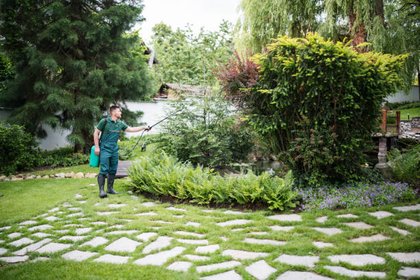 Best Pest Removal Services  in Lyons, GA