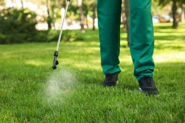 Best Insect Control  in Lyons, GA