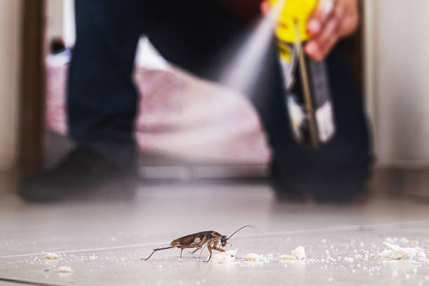 Best Pest Control for Homes  in Lyons, GA