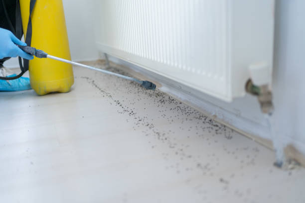 Reliable Lyons, GA Pest Control Solutions