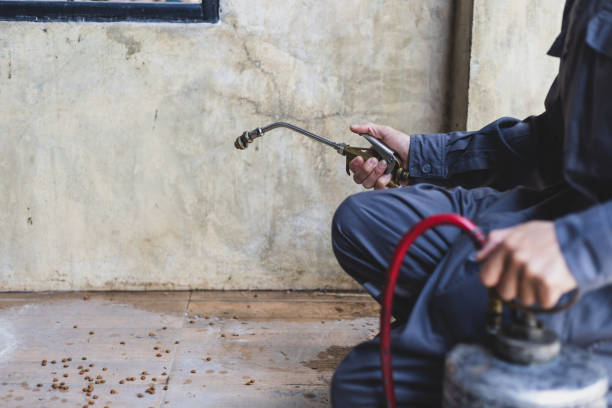 Best Pest Removal Services  in Lyons, GA